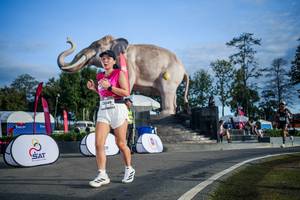 BIB: 
                            <button type="button" onclick="openModal(26542016)" class="btn btn-primary btn-sm float-right btn-popup" data-toggle="modal" data-target=".modal-high-quality">
                        <i class="fas fa-shopping-cart"></i> Add to Cart
                    </button>
                                            <button type="button" onclick="isThisMe(26542016, true)" class="btn btn-success btn-sm float-right btn-popup btn-isme hidden" data-toggle="tooltip" data-placement="bottom" title="นี่คือรูปของคุณใช่ไหม คลิกที่นี่เพื่อเอาเข้าอัลบั้ม">
                        <i class="fas fa-plus"></i> Add to album
                    </button>
                    <button type="button" onclick="isThisMe(26542016, false)" class="btn btn-warning btn-sm float-right btn-popup btn-isnotme hidden">
                        <i class="fas fa-ban"></i> Remove from album
                    </button>